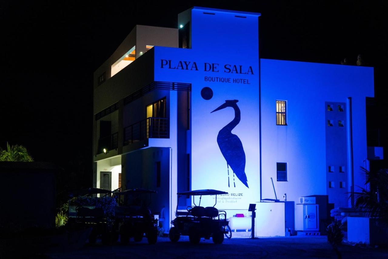 Playa De Sala Boutique Hotel (Adults Only) ซานเปโดร ภายนอก รูปภาพ